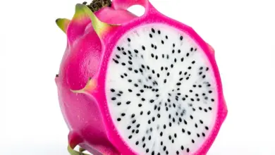 pitahaya dračí ovoce co to je - Pitahaya neboli dračí ovoce: co to je a jak ho poznat