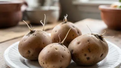 recept na víkend vyzkoušejte netradiční přílohu - Vyzkoušejte netradiční přílohu: recepty pro váš víkendový oběd
