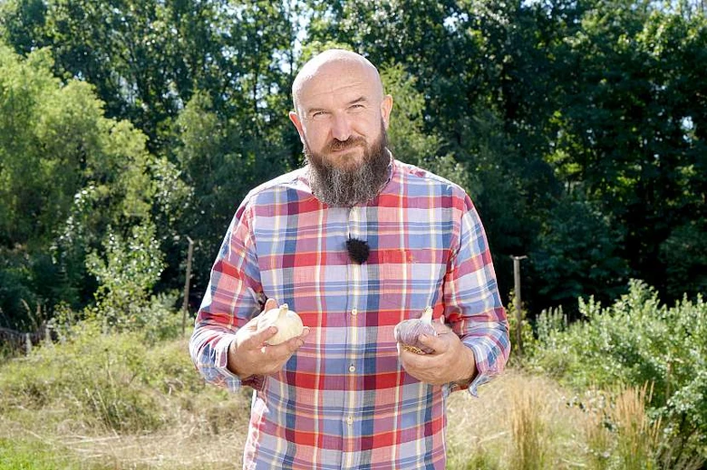 Muž drží česnek v zahradě, přírodní prostředí.