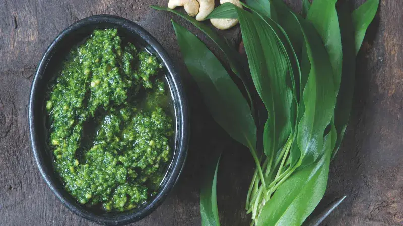 Pesto z medvědího česneku v miskě s čerstvými listy