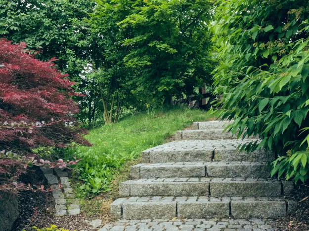 Přírodní kamenné schody ve svahu mezi zelenými keři