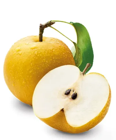 Žlutá nashi hruška s řezem na bílém pozadí.
