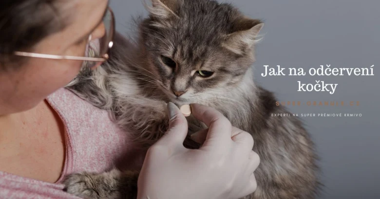 Žena dává kočce tabletku proti červům