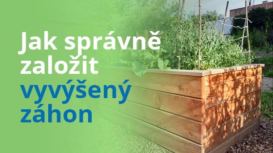 Vyvýšený záhon s rostlinami v dřevěném rámu