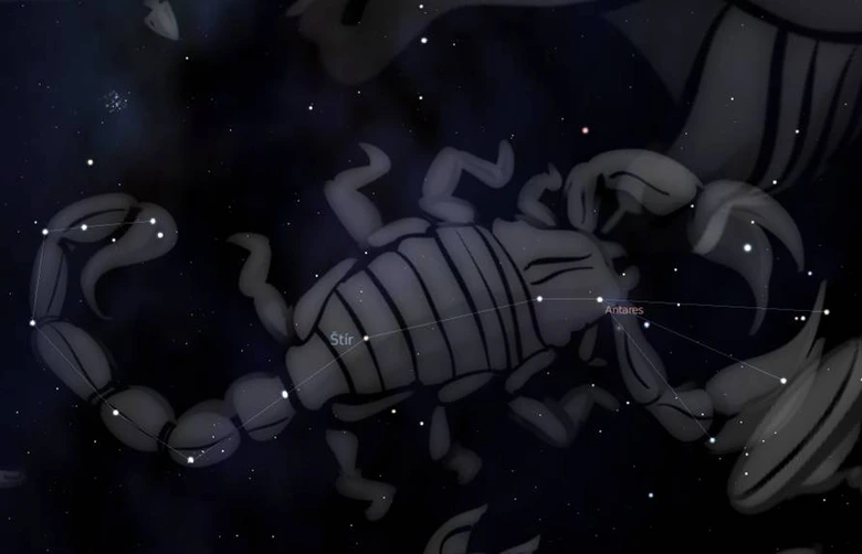 Ilustrace souhvězdí Štír s označenými hvězdami na tmavém pozadí.