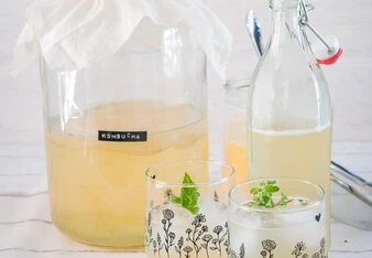 Kombucha v sklenici s mátou a fermentační nádoba