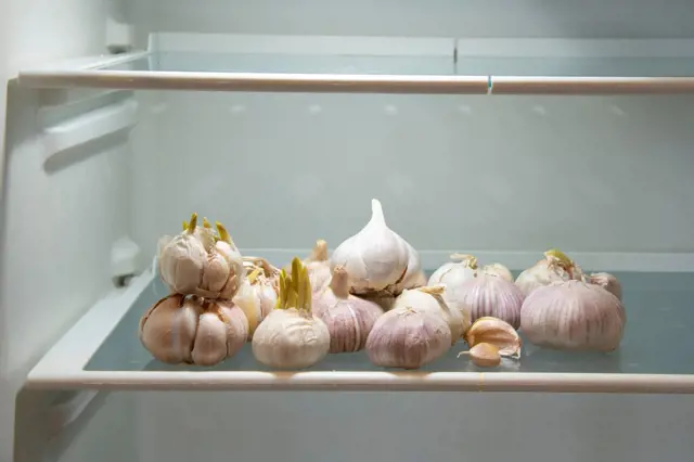 Česnek uložený v mrazáku na police