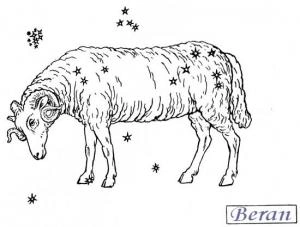 Ilustrace berana s hvězdami, znamení Beran