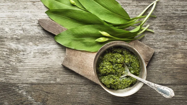 Pesto z medvědího česneku s čerstvými listy na dřevěném podkladu