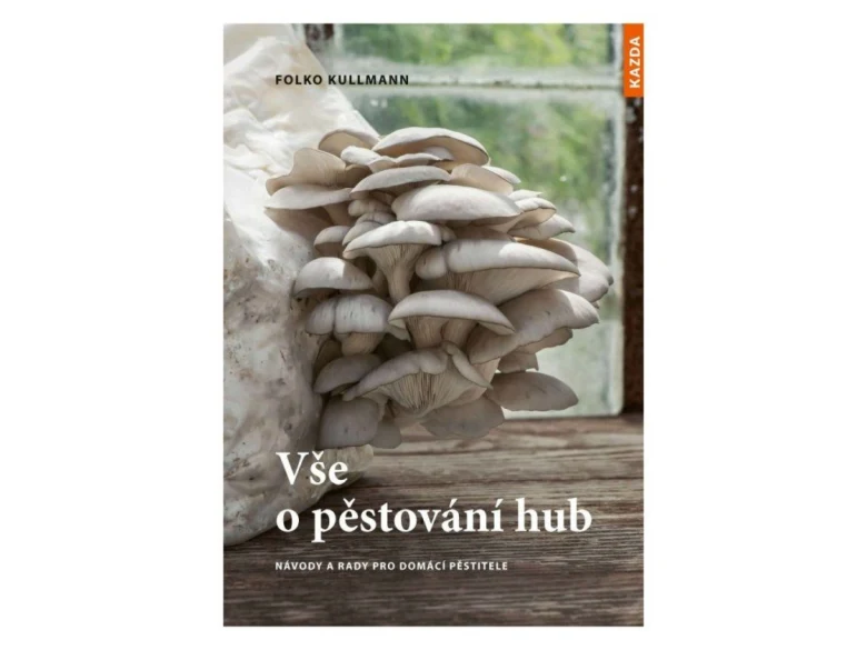 Kultivované houby na dřevěném podkladu