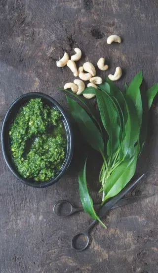 Pesto z medvědího česneku s ořechy a čerstvými listy