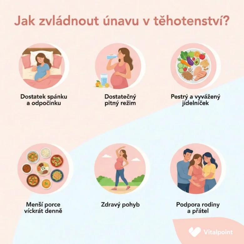 Infografika s tipy na zvládání únavy v těhotenství: spánek, pití, strava, pohyb a podpora