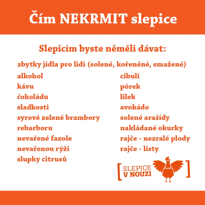 Co nepodávat slepicím – seznam nevhodných potravin pro slepice