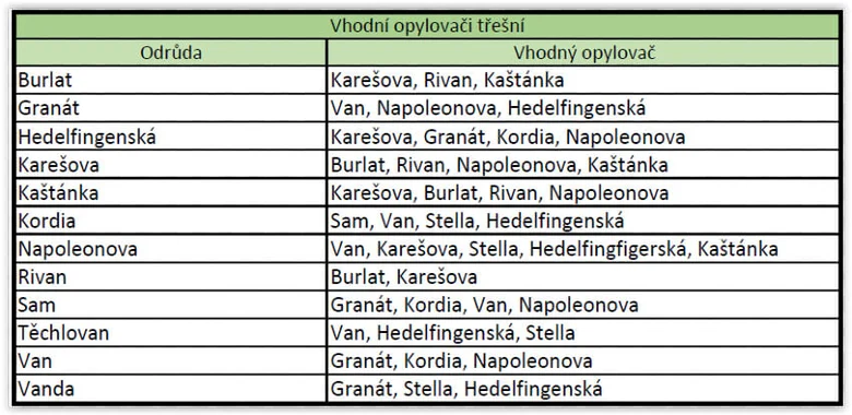 Tabulka vhodných opylovačů pro různé odrůdy třešní.