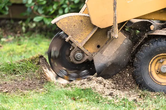 Stump grinder zpracovává kmen stromu na trávníku