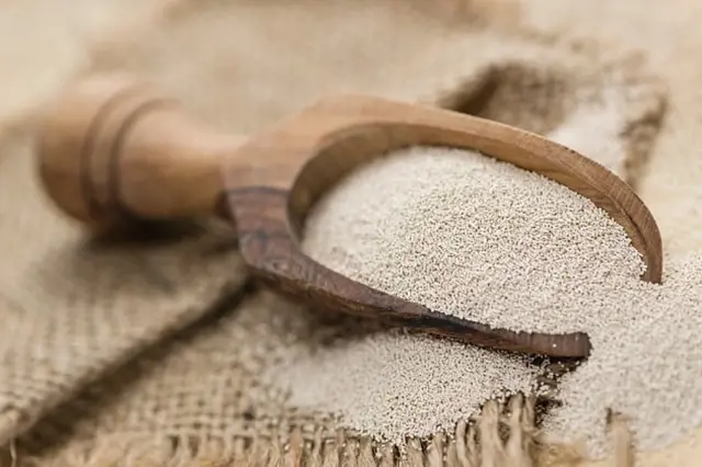 Čerstvé droždí v dřevěné lžičce na plátně