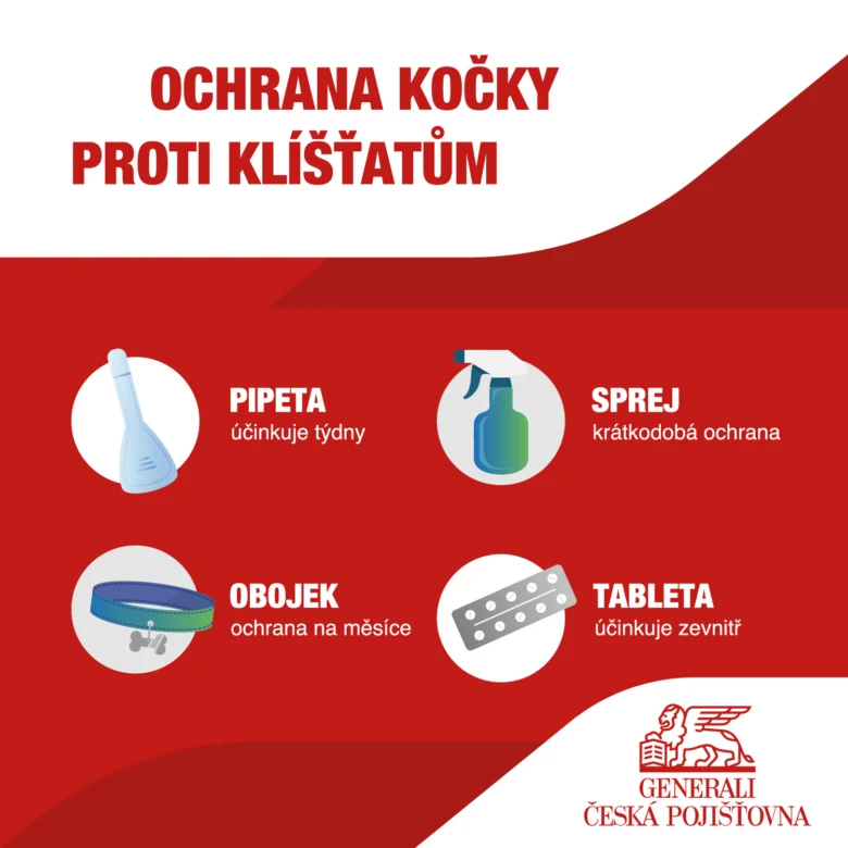 Ochrana kočky proti klíšťatům – pipeta, sprej, obojek, tableta