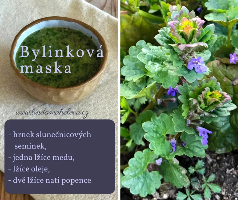 Bylinková maska s nati popence – recept na domácí péči o pleť.
