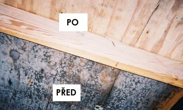 Porovnání dřeva před a po úpravě - zničené vs. zdravé dřevo