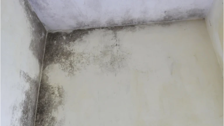 Základní stěna s hnilobou, která vyžaduje hydroizolaci