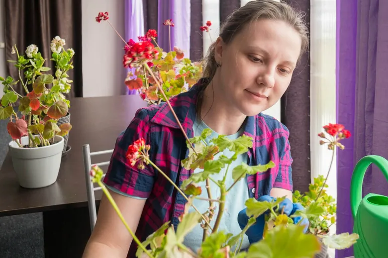 Žena péče o léčivé bylinky na parapetu.