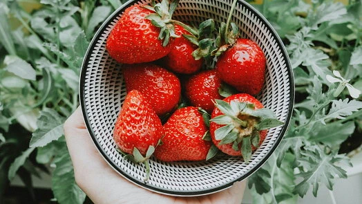 Čerstvé jahody v miskě na zeleném pozadí
