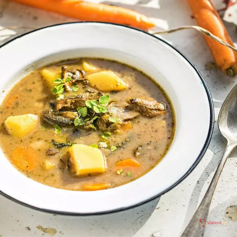 Hot homemade Czech potato soup with vegetables.