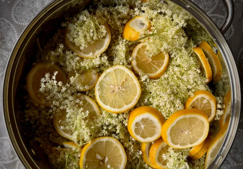 Rakytník s citronovými plátky v hrnci připraven k zpracování