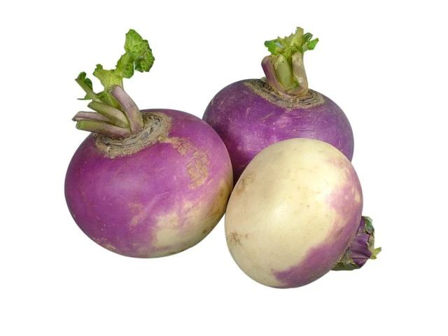 Purple turnips with greens