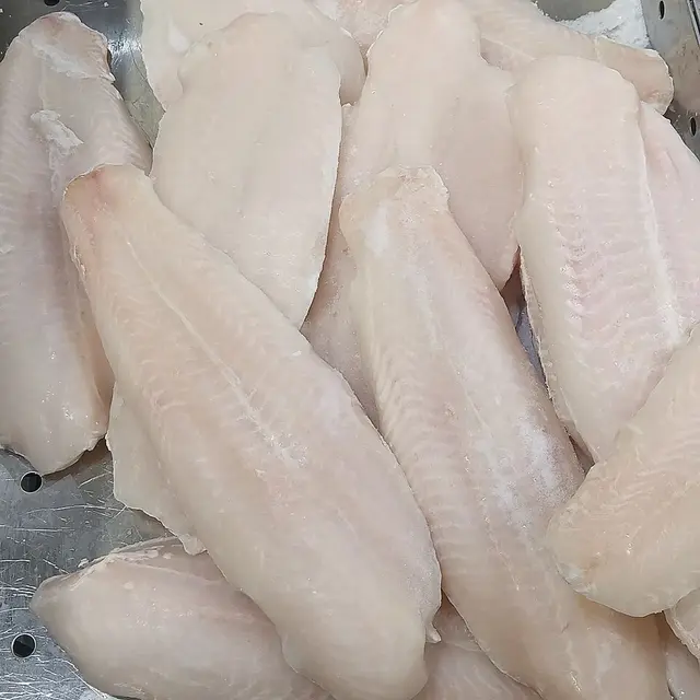 Surové filety z ryby pangasius na kovové desce.