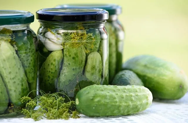 Pickled cucumbers in jars