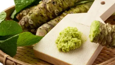 Čerstvý kořen wasabi se tře na dřevěné desce do zelené pasty.