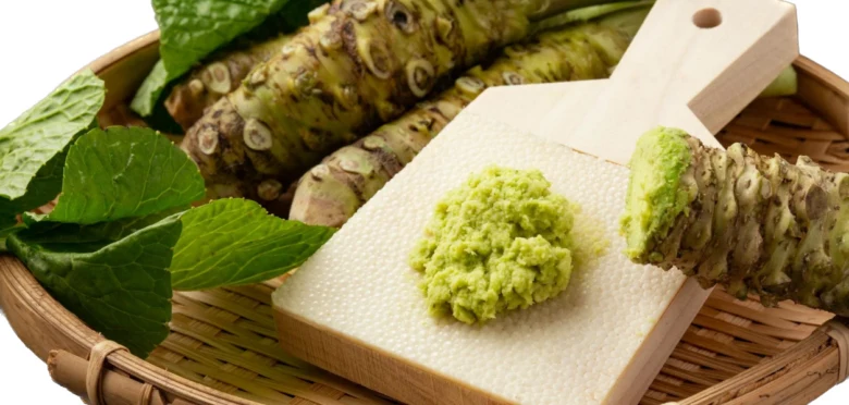 Čerstvý kořen wasabi se tře na dřevěné desce do zelené pasty.