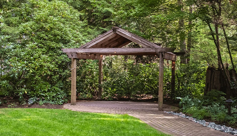 Wooden garden pergola