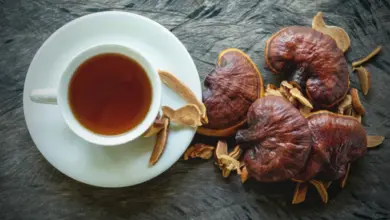 Sušené houby reishi vedle šálku čaje na dřevěném povrchu.