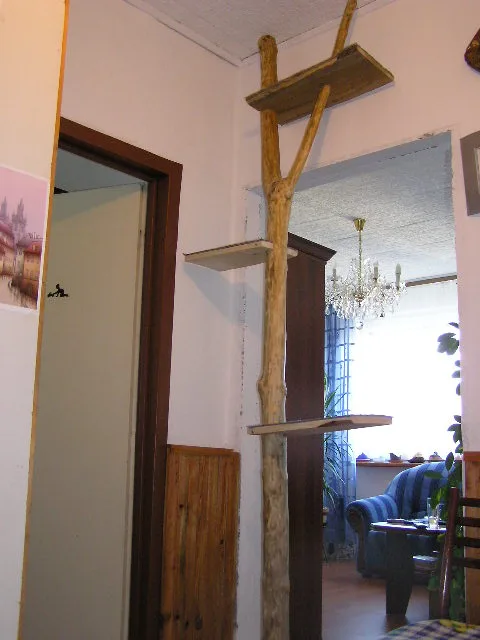 Dřevěná stromová hnízda pro koťata s více úrovněmi.