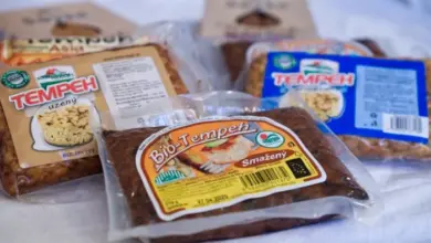 Packaged tempeh blocks