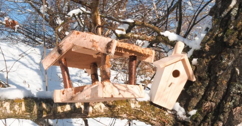 Dřevěná ptačí budka a krmítko na sněžném stromu