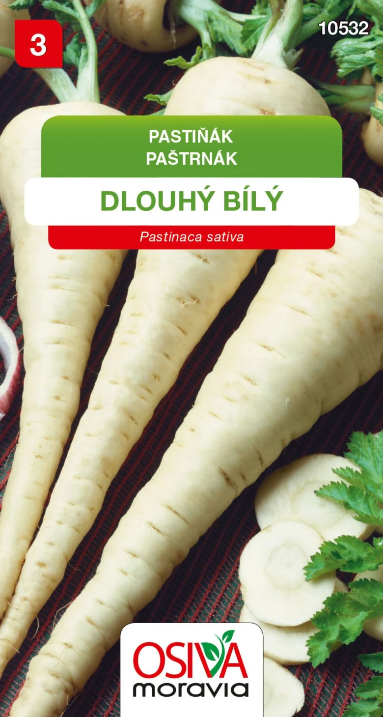 Bílý pastinák s listy na tmavém podkladu.