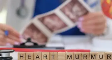 Stetoskop s dřevěnými kostkami psanými slovy HEART MURMUR.