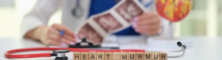 Stetoskop s dřevěnými kostkami psanými slovy HEART MURMUR.