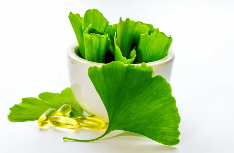 Čerstvé listy ginkgo biloby v misce s kapslemi vedle.