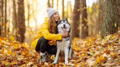 Žena v žluté bundě sedí s husky na podzimní stezce.