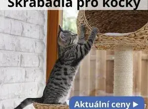 Koťátko škrábe dřevěné škrabadlo pro kočky.