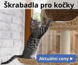 Koťátko škrábe dřevěné škrabadlo pro kočky.