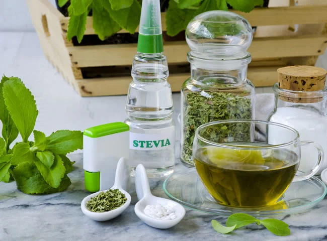 Čerstvá stévie, suchá tráva, čajová šálka s nápojem z listů.