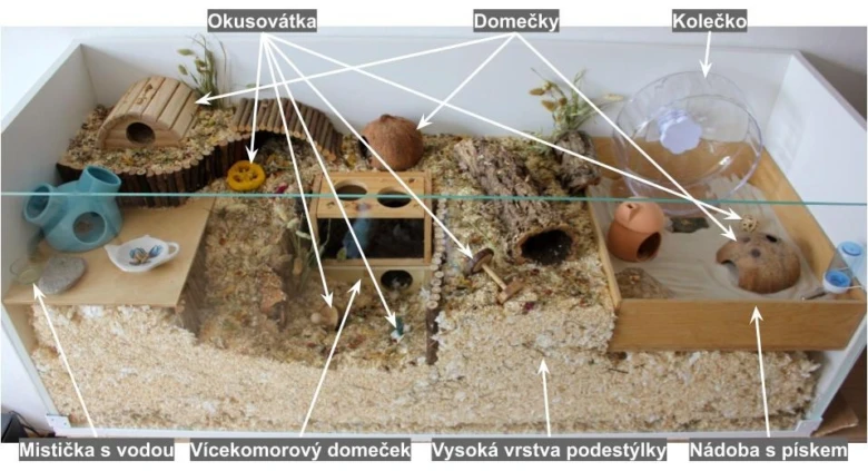 Fotografie zařízené klece pro chřestýrka s označenými prvky.