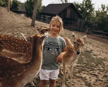 Dívka stojí mezi dvěma jeleny v venkovském prostředí.