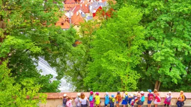 Skupina dětí s batohy hledí na české město z výhledu.