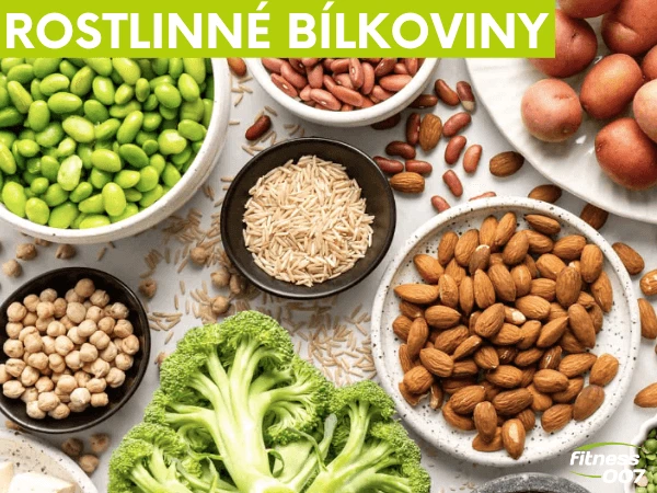 Různé rostlinné zdroje bílkovin jako fazole, ořechy a zelenina.